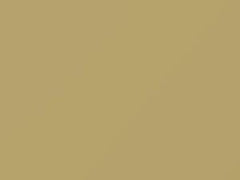 Inca Gold touch-up paint for Ford, code M30J641, Y, 1957