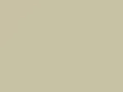 White touch-up paint for Daihatsu, code 33, 2011