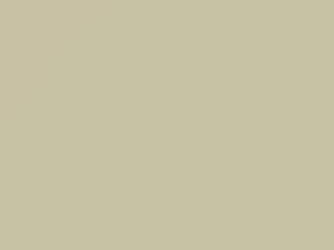 White touch-up paint for Daihatsu, code 33, 2011