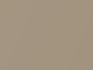 Beige Metallic touch-up paint for Toyota, code 494, 1983
