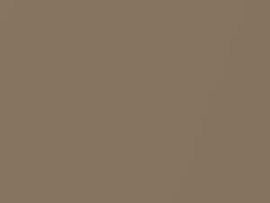 Agate Brown Metallic touch-up paint for Audi, code L95Y, 1974