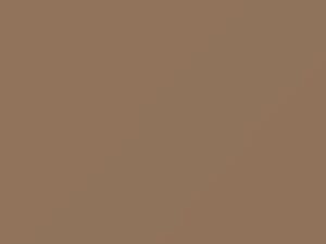 Medium Tan touch-up paint for Chevrolet, code 67, 7491, WA7491, 1983