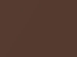 Dark Copper Metallic touch-up paint for Datsun, code 810, 1980
