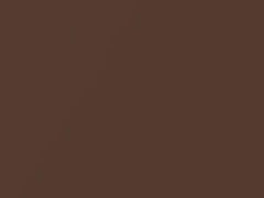 Dark Copper Metallic touch-up paint for Datsun, code 810, 1980