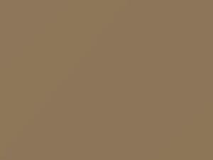 Dark Beige touch-up paint for Isuzu, code 2189P1, 860, 1989