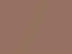 Light Redwood Metallic touch-up paint for Buick, code 72, 7379, WA7379, 1982
