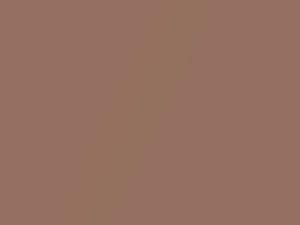 Light Redwood Metallic touch-up paint for Buick, code 72, 7379, WA7379, 1982