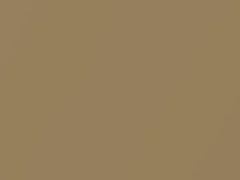 Beige Metallic touch-up paint for Fiat, code 577, 1975