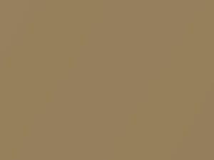 Beige Metallic touch-up paint for Fiat, code 577, 1975