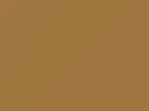 Light Gold touch-up paint for Dodge, code AY69JY3, Y3, 1973