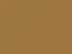 Light Gold touch-up paint for Dodge, code AY69JY3, Y3, 1973