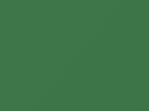 Lexington Green touch-up paint for Mercury, code 81, M25J720, 1957