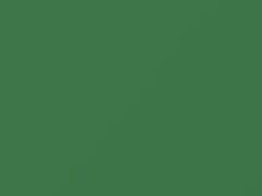Lexington Green touch-up paint for Mercury, code 81, M25J720, 1957