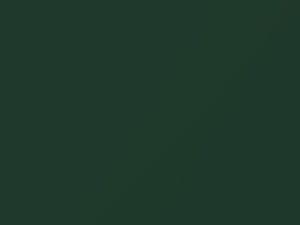 Dark Green Metallic touch-up paint for Datsun, code 141, 1977