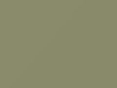 Hakone Green touch-up paint for Datsun, code 152, 546, 1968