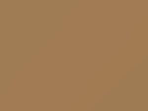 Light Mojave Beige touch-up paint for Isuzu, code 2154P1, 1983