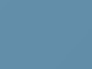 Wedgewood Blue touch-up paint for Amc, code 9E, 1979