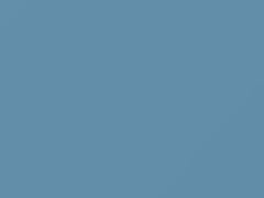 Wedgewood Blue touch-up paint for Amc, code 9E, 1979