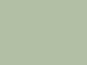 Kasumi Green touch-up paint for Datsun, code 164, 554, 1961