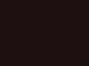 Black Cherry touch-up paint for Chevrolet, code 7562, 77, WA7562, 1983
