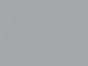 Silver Metallic touch-up paint for Alfa Romeo, code 748, 1978