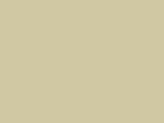 White touch-up paint for Datsun, code 502, 1967