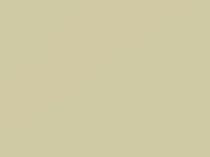 White touch-up paint for Datsun, code 502, 1966