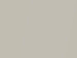 Silver Sand Metallic touch-up paint for Buick, code 15, 8358, WA8358, 1983