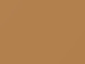 Mexico Beige touch-up paint for Audi, code LE1M, 1980