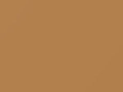 Mexico Beige touch-up paint for Audi, code LE1M, 1980