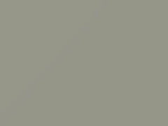Platinum Gray touch-up paint for Ford, code H, M20J532, 1956