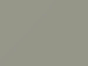 Platinum Gray touch-up paint for Ford, code H, M20J532, 1956