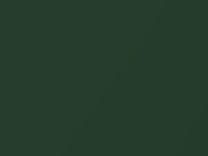 Mercedes-Benz Moss Green Metallic touch up paint 834 1973 All Models