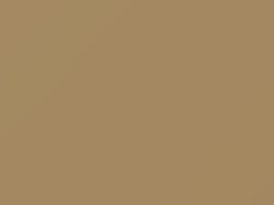 Baja Beige touch-up paint for Ford, code H, M3569A, 1971