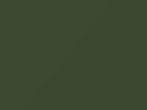 Leaf Green touch-up paint for Porsche, code 218, 1974