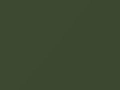 Leaf Green touch-up paint for Porsche, code 218, 1973