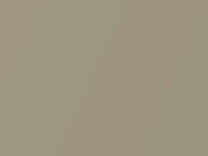 Mercedes-Benz Tunis Beige Metallic touch up paint 462 1975 All Models