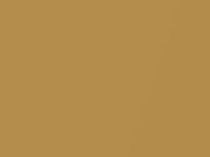 Gold Glow Metallic touch-up paint for Ford Thunderbird, code 6G, M5086A, 1974