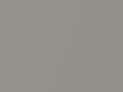 Dover Gray Metallic touch-up paint for Amc, code CC, 1988
