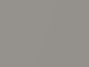 Dover Gray Metallic touch-up paint for Amc, code CC, 1988