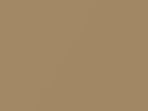 French Vanilla Metallic touch-up paint for Mercury, code 68, M5812A, 1984