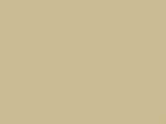 Buff Yellow touch-up paint for Amc, code CB, 1988