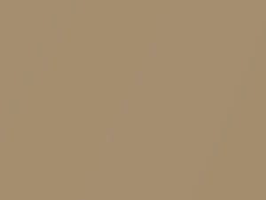 Mercedes-Benz Sandy Beige Metallic touch up paint 1-467 1968 All Models