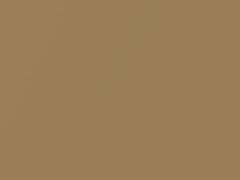 Amber Metallic touch-up paint for Jeep, code 181, 1962