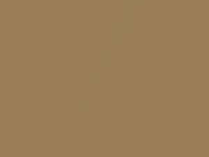 Amber Metallic touch-up paint for Jeep, code 181, 1962