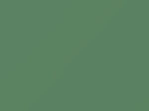 Light Green touch-up paint for Fiat, code 304, 1975