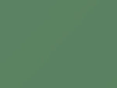 Light Green touch-up paint for Fiat, code 304, 1974