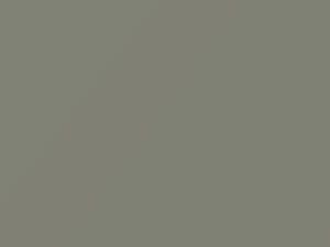 Fontana Gray touch-up paint for Volkswagen, code L595, 1965