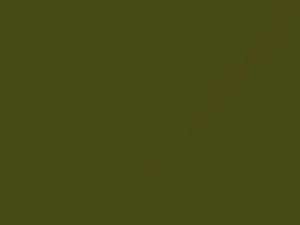 Yellow Green touch-up paint for Toyota, code 6H2, 1983