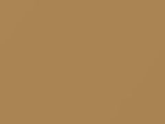 Light Tan touch-up paint for Chrysler, code AC10670, S70, 1982